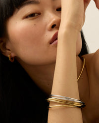 Jenny Bird - Dane Bangle Set 5pk (Two-Tone)
